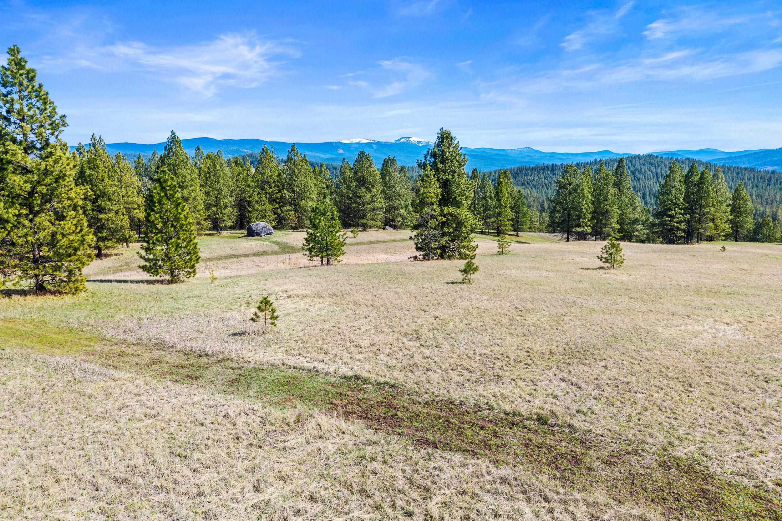 1095 Kitt-Narcisse Road Colville, WA 99114 - Photo 42 of 42