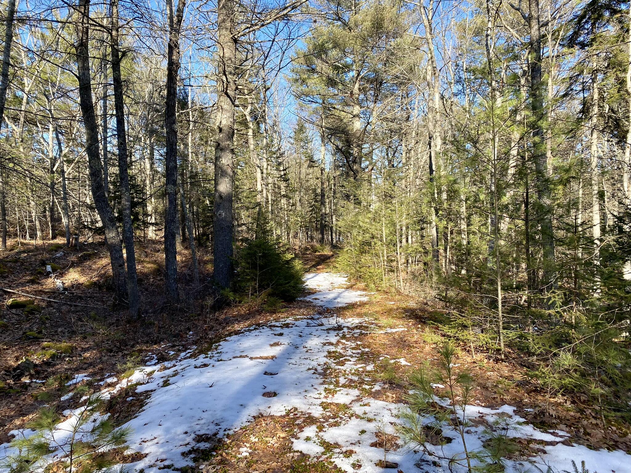 Lot 7-4 Bowman's Landing Road Georgetown, ME 04548 - Photo 5 of 34 IMG_0885