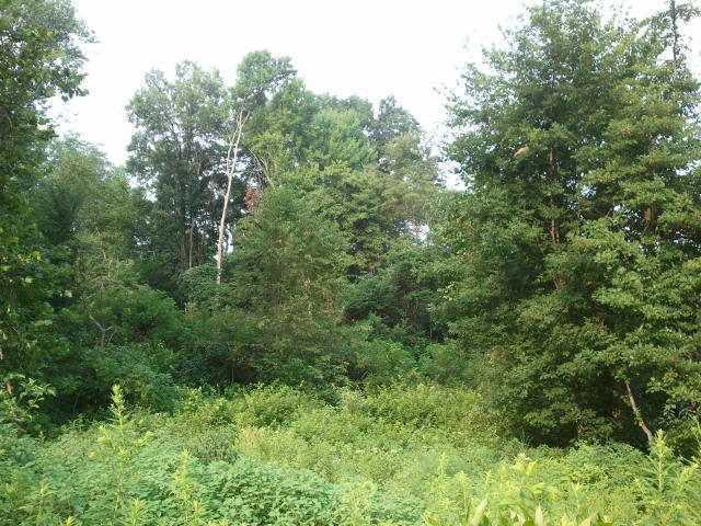 17976 Marne Road Nashport, OH 43830 - Photo 1 of 2