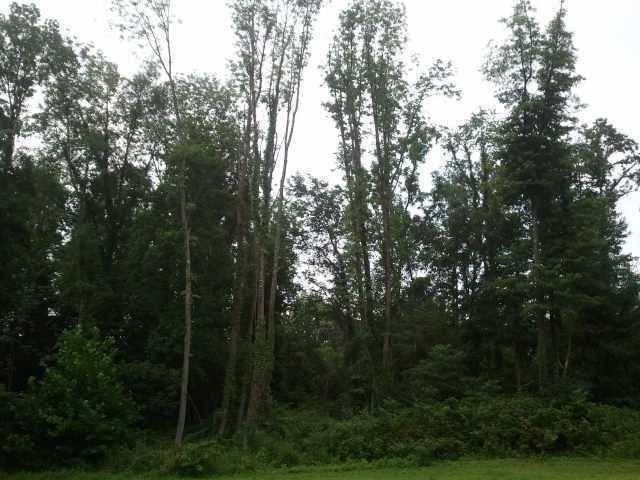 17976 Marne Road Nashport, OH 43830 - Photo 2 of 2