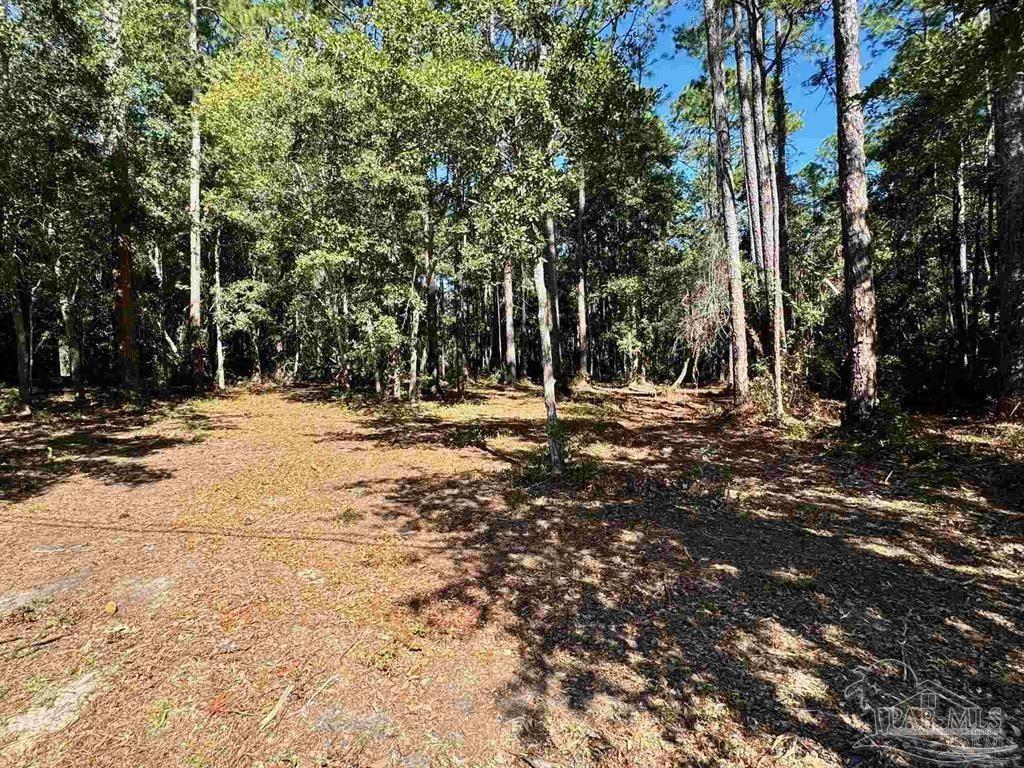 0 Owensville Road Milton, FL 32583 - Photo 2 of 4