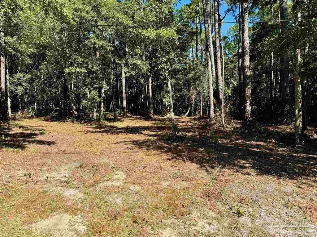 0 Owensville Road Milton, FL 32583 - Photo 3 of 4