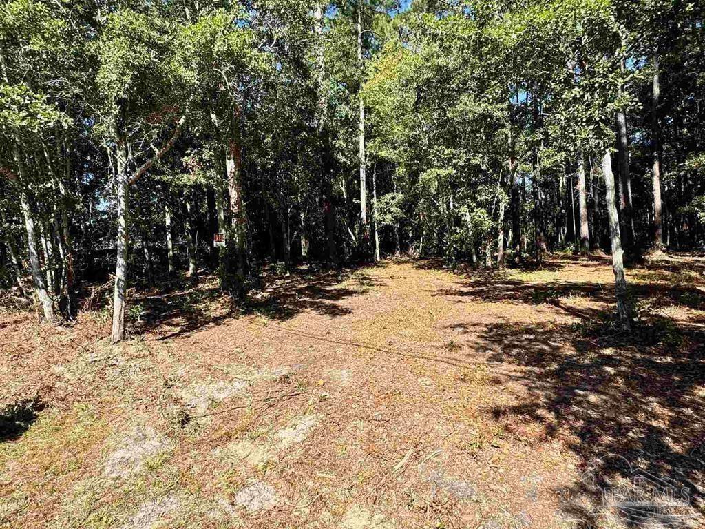 0 Owensville Road Milton, FL 32583 - Photo 4 of 4