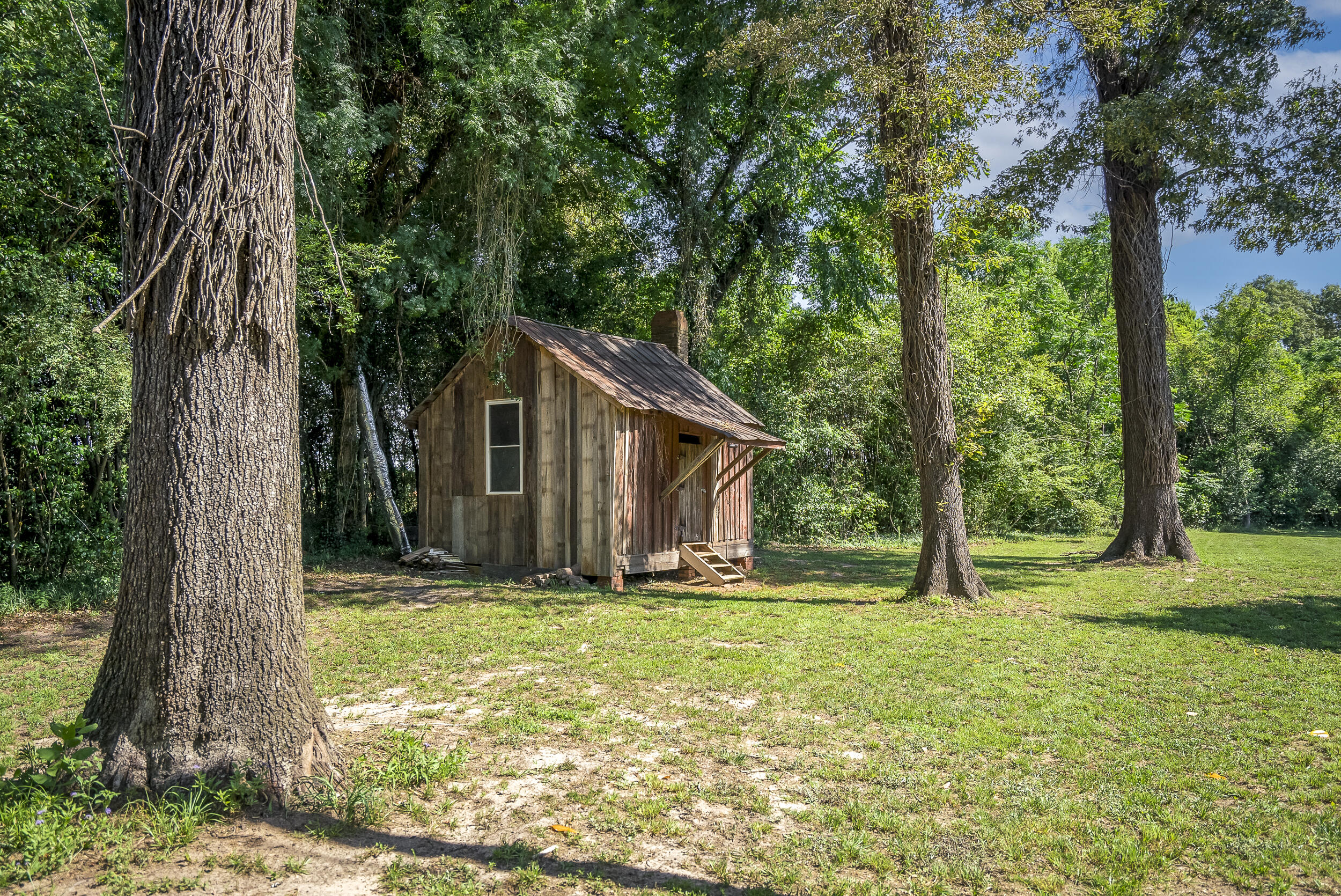 357 Williston Road Beech Island, SC 29842 - Photo 61 of 79