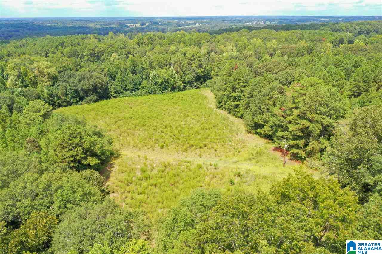 378 Old Mill Road Blountsville, AL 35031 - Photo 6 of 10