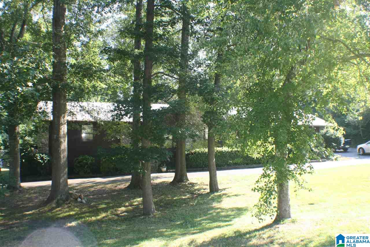 423 Cherokee Trail Anniston, AL 36206 - Photo 37 of 38