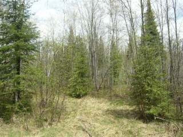 Lot 3 Pine Lake Road Rhinelander, WI 54501 - Photo 1 of 9 Gallery Image 1