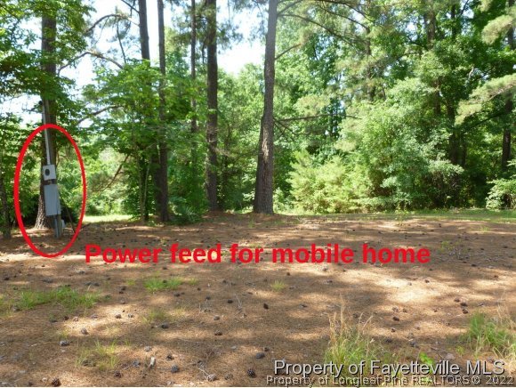 564 Post Office Road Sanford, NC 27330 - Photo 6 of 27 Gallery Image 6