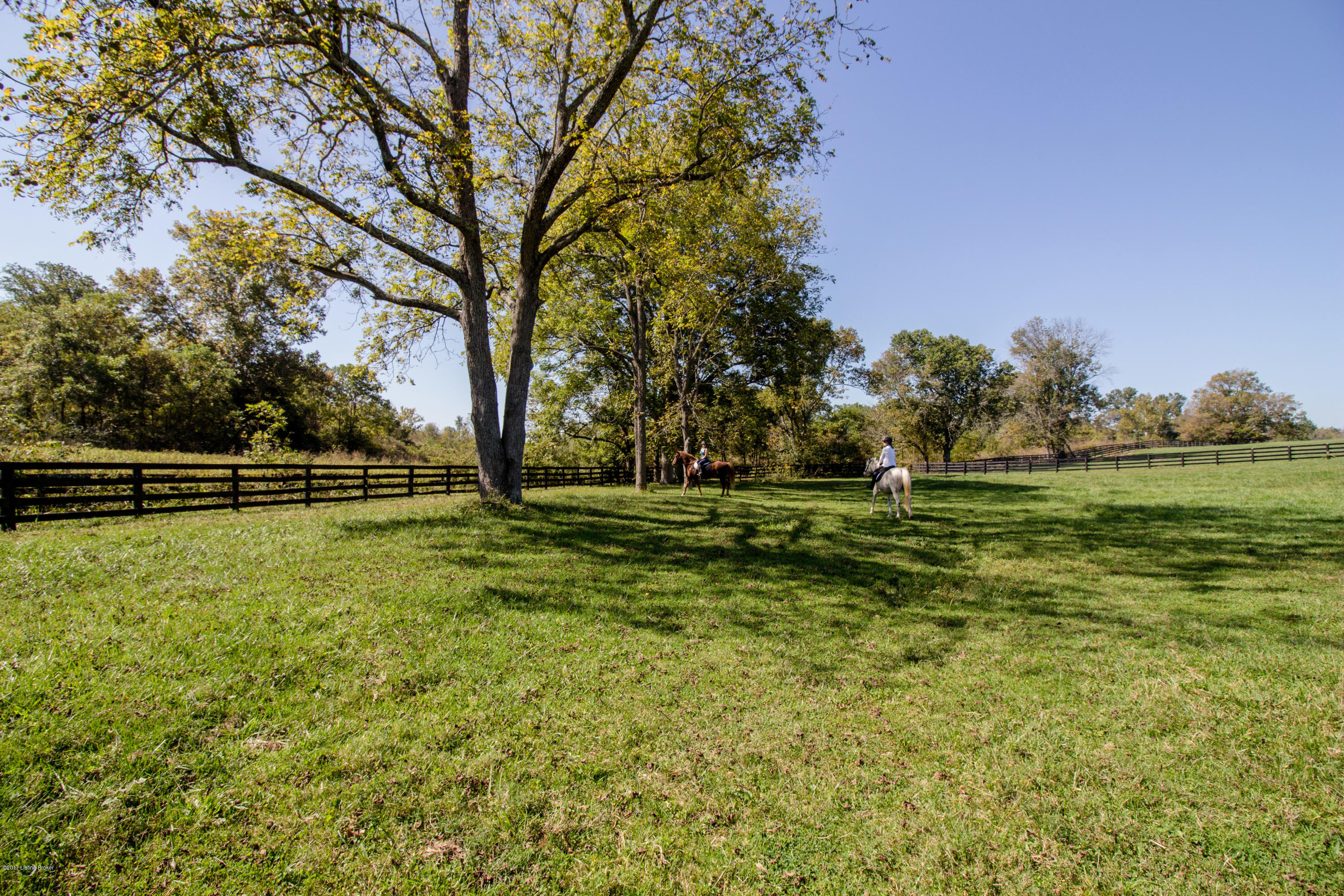 5201 Old Sligo Road Pendleton, KY 40055 - Photo 40 of 51 5201 Old Sligo Rd-19