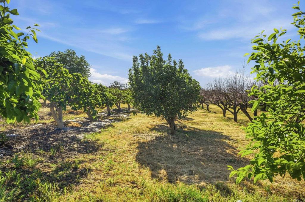 18131 Traylor Road Ramona, CA 92065 - Photo 46 of 63