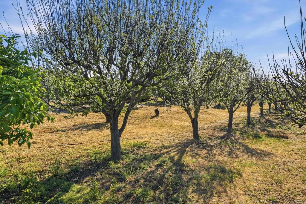 18131 Traylor Road Ramona, CA 92065 - Photo 47 of 63