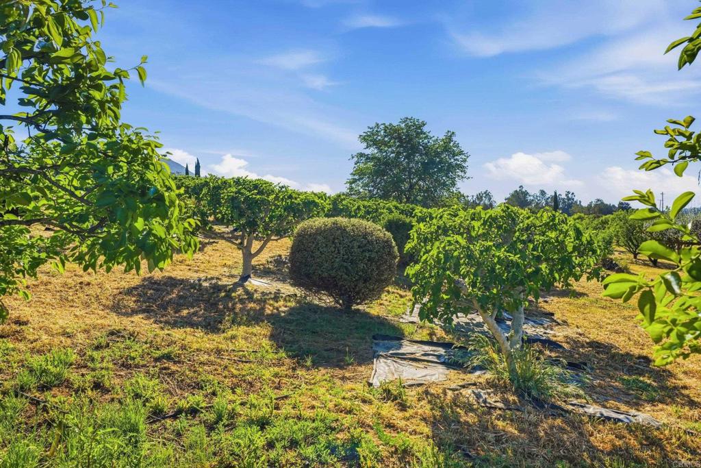 18131 Traylor Road Ramona, CA 92065 - Photo 48 of 63