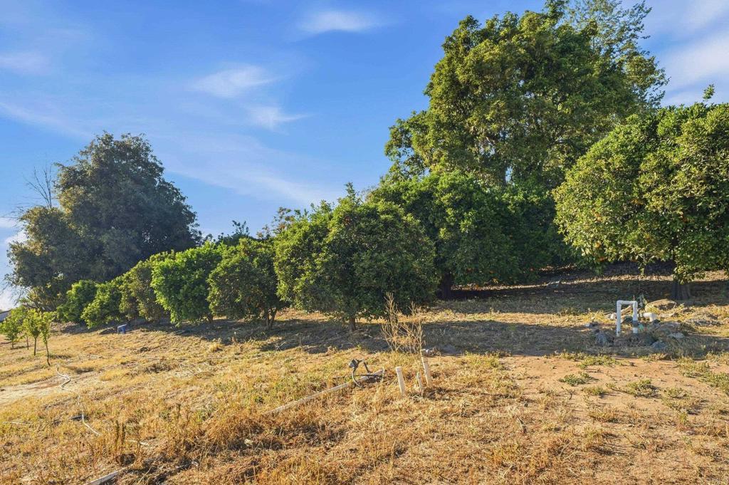 18131 Traylor Road Ramona, CA 92065 - Photo 49 of 63