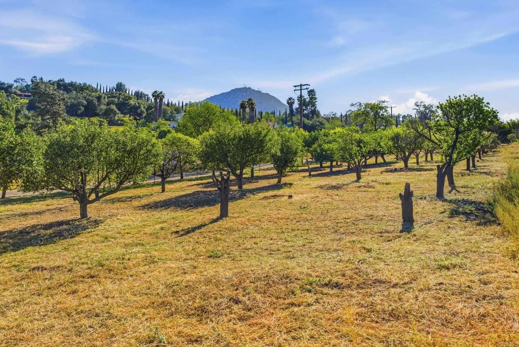 18131 Traylor Road Ramona, CA 92065 - Photo 50 of 63