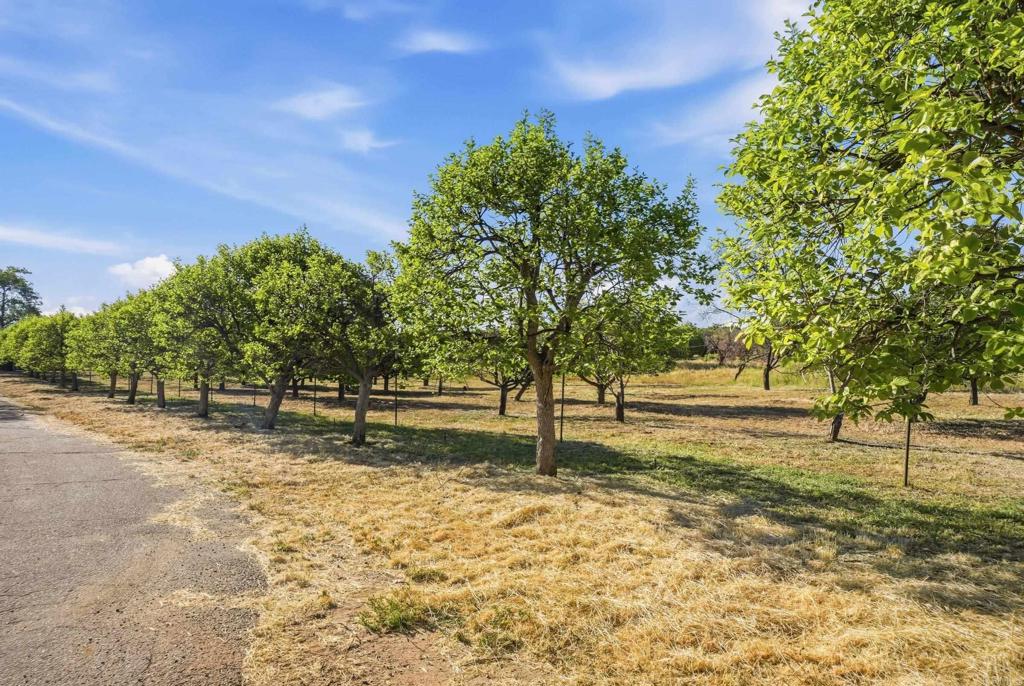 18131 Traylor Road Ramona, CA 92065 - Photo 51 of 63