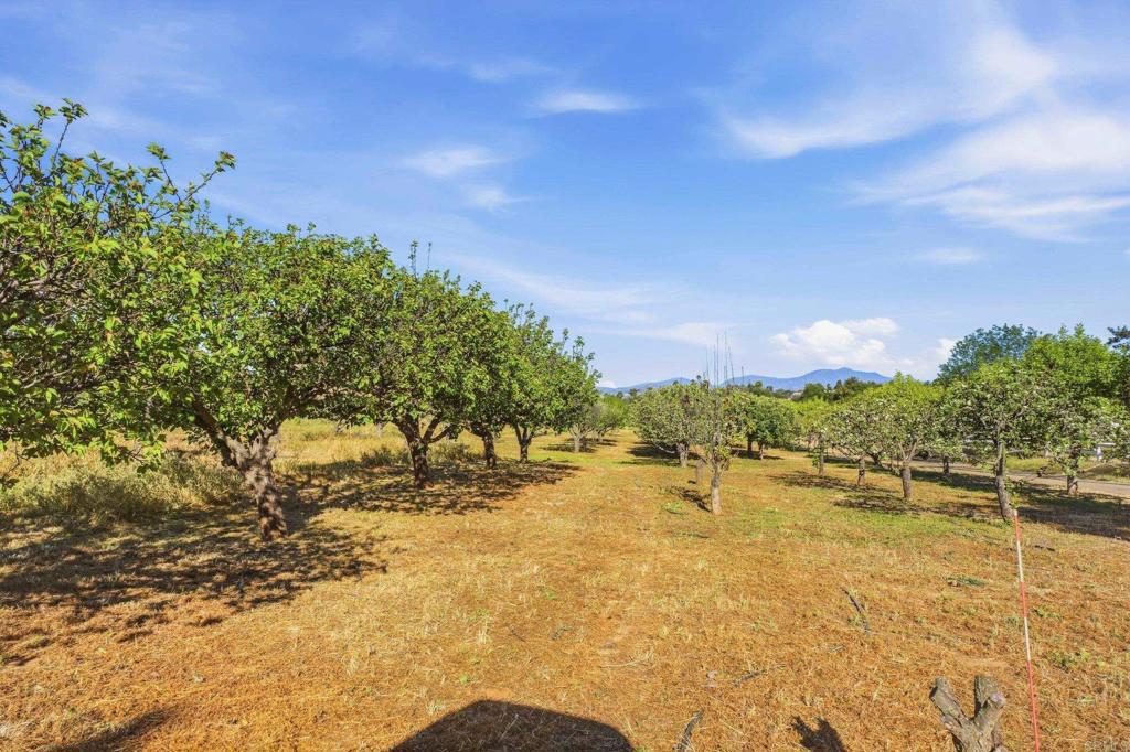 18131 Traylor Road Ramona, CA 92065 - Photo 52 of 63