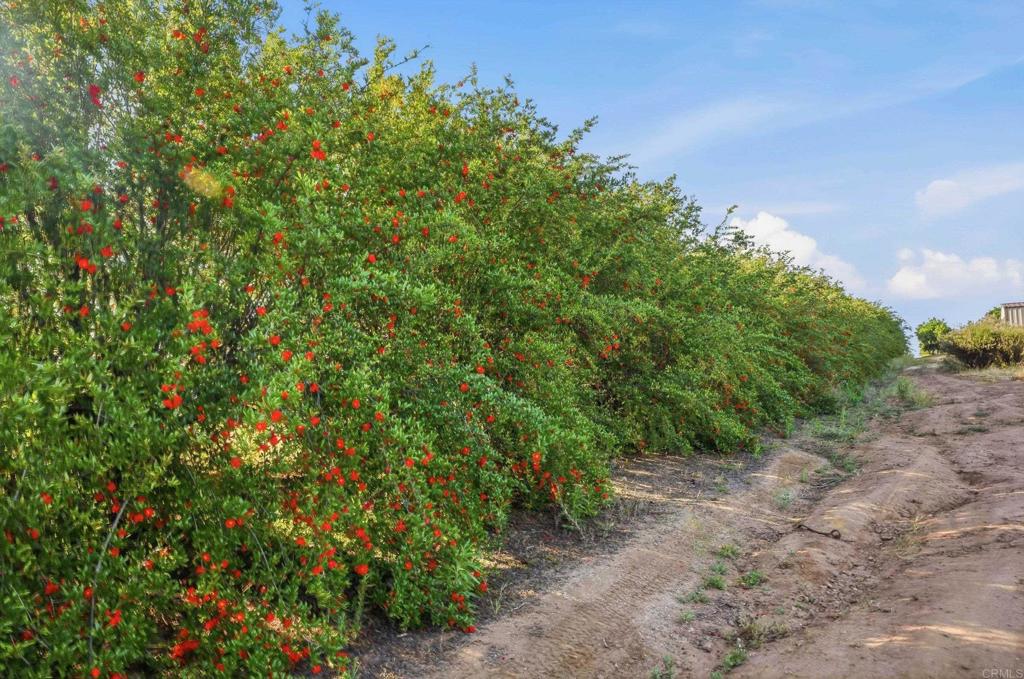 18131 Traylor Road Ramona, CA 92065 - Photo 53 of 63