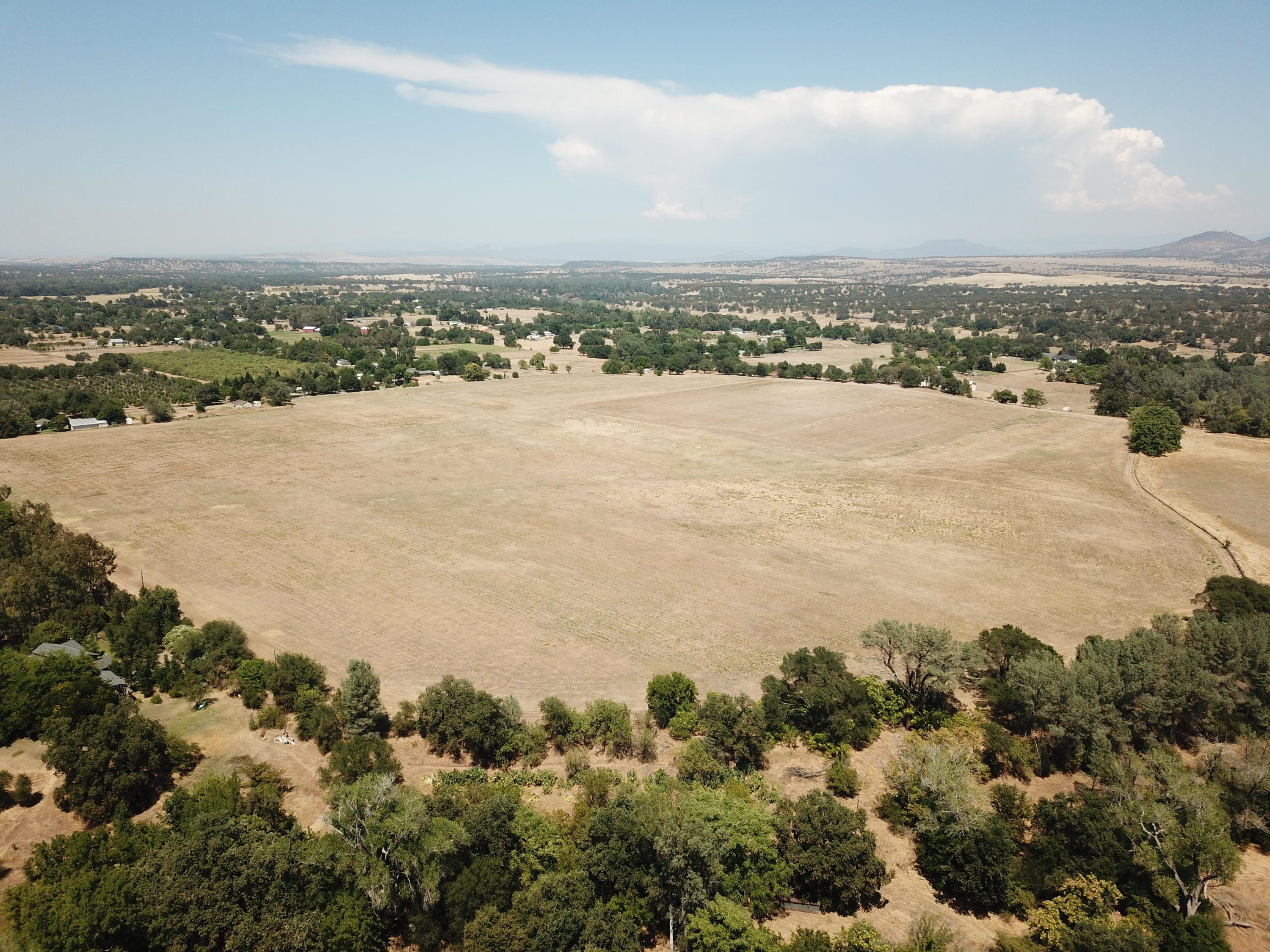 21959 South Wallen Road Red Bluff, CA 96080 - Photo 13 of 27 DJI_0034