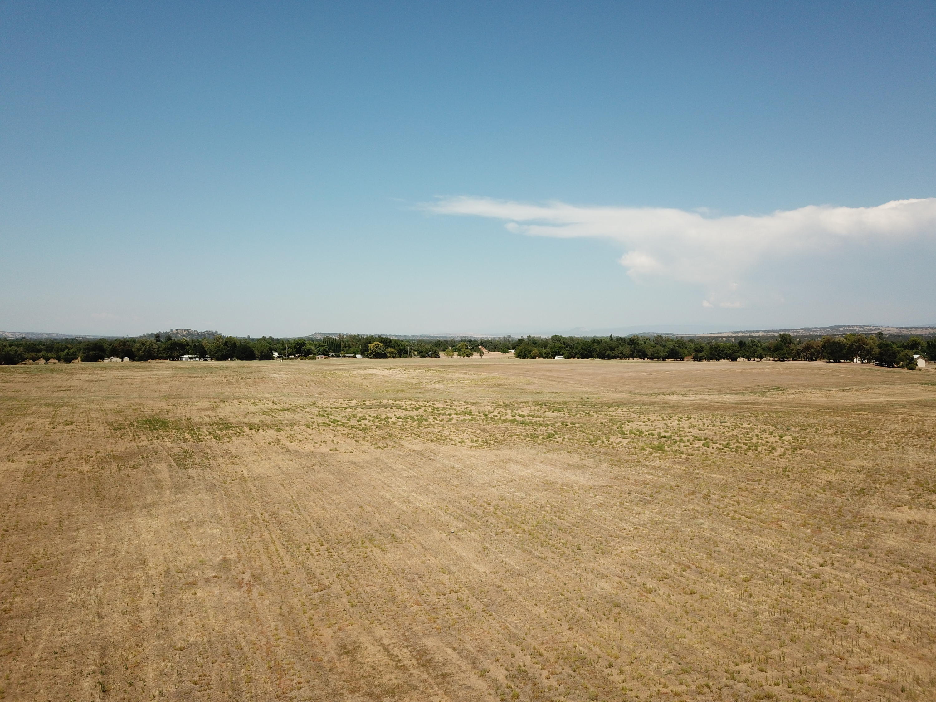 21959 South Wallen Road Red Bluff, CA 96080 - Photo 14 of 27 DJI_0042