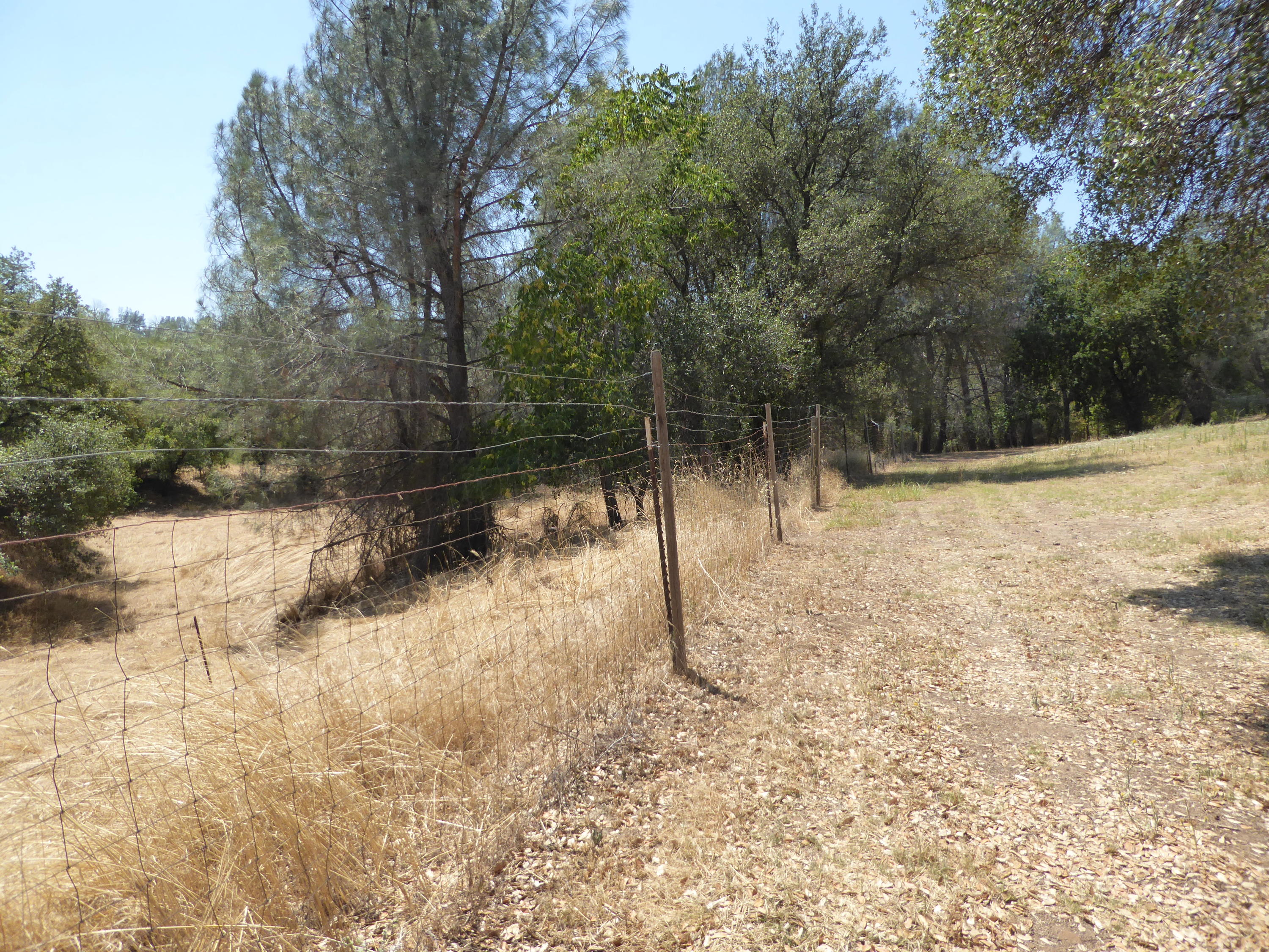 21959 South Wallen Road Red Bluff, CA 96080 - Photo 22 of 27 P1100307