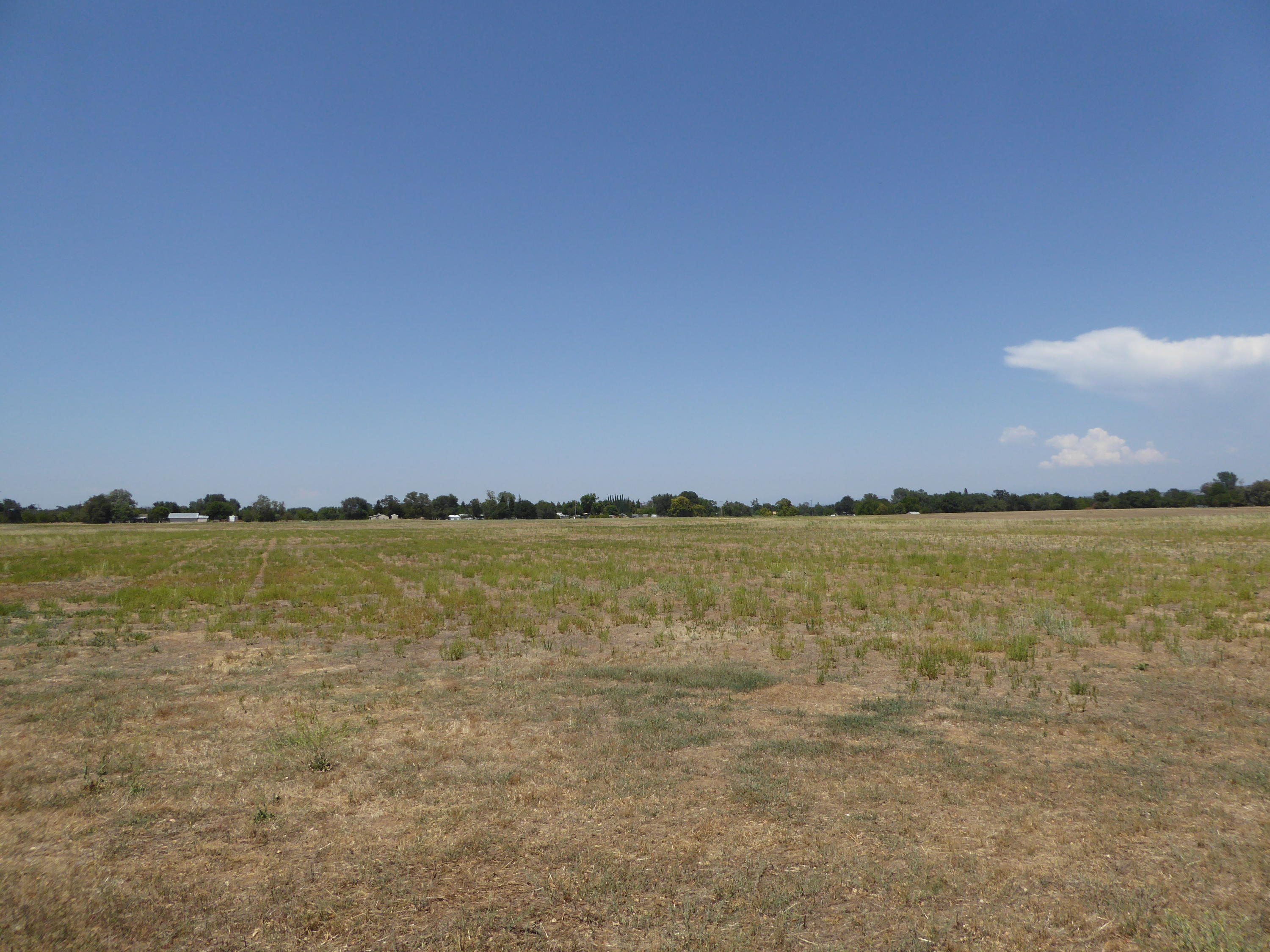 21959 South Wallen Road Red Bluff, CA 96080 - Photo 23 of 27 P1100311