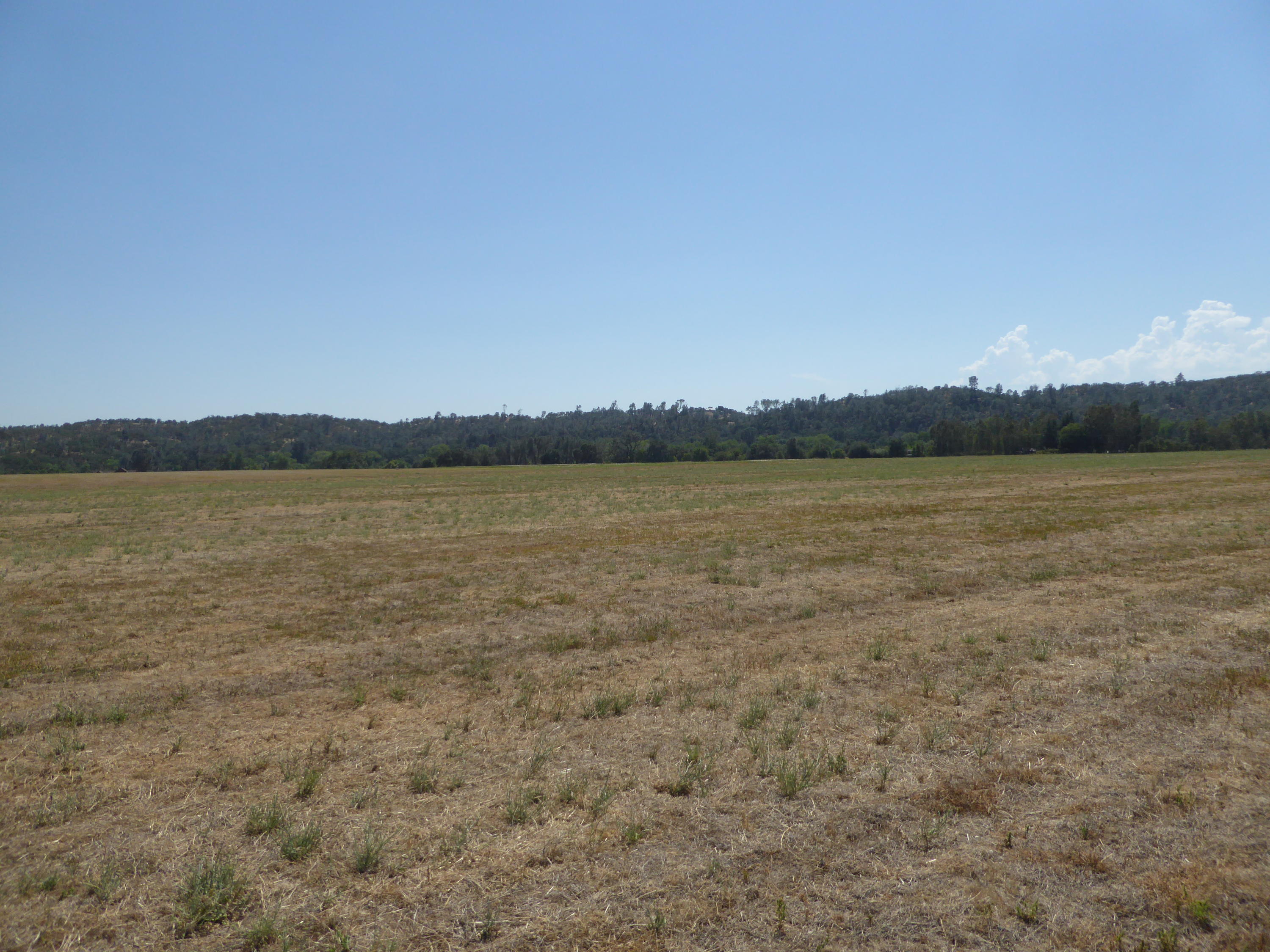 21959 South Wallen Road Red Bluff, CA 96080 - Photo 24 of 27 P1100320