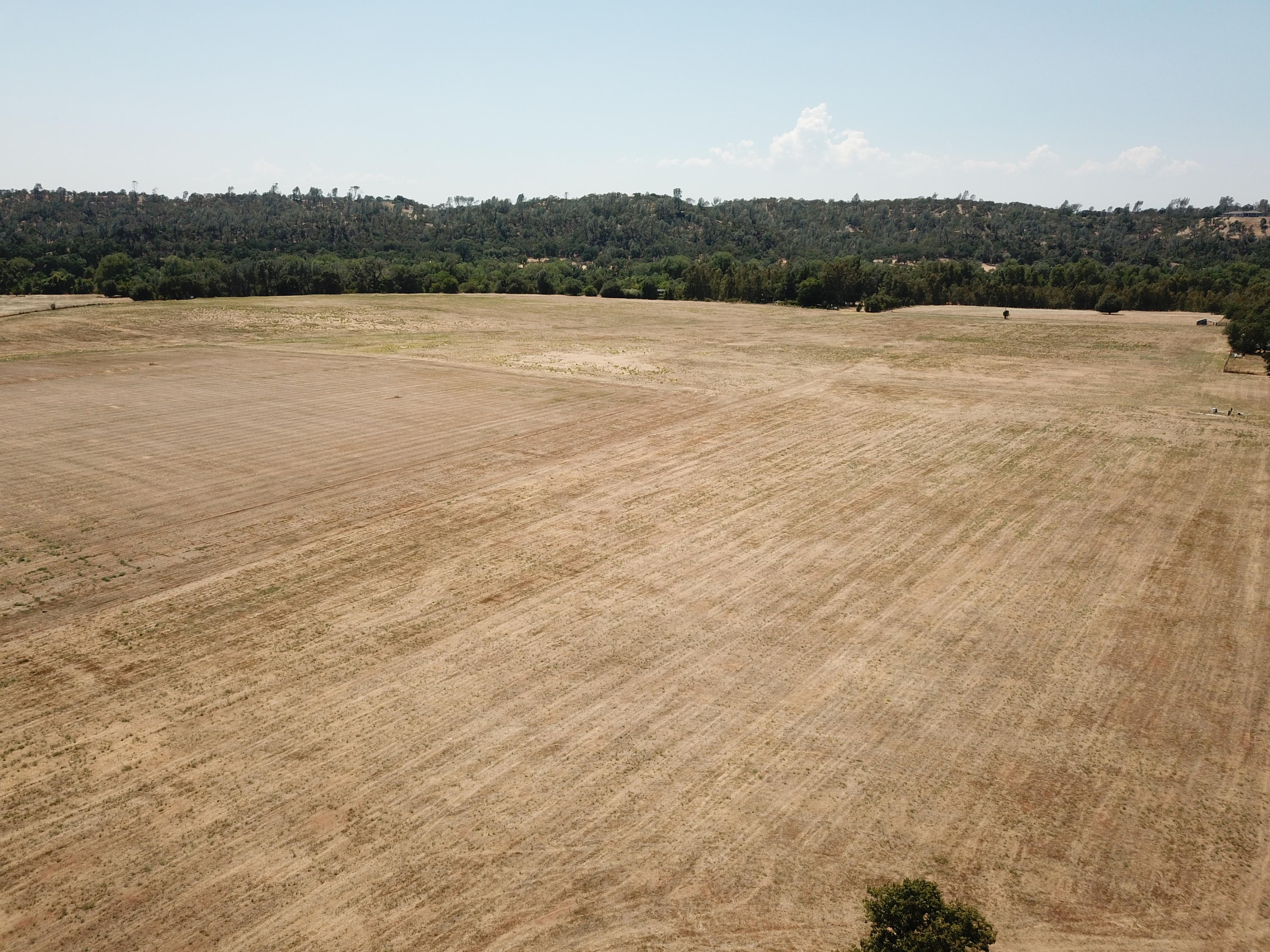 21959 South Wallen Road Red Bluff, CA 96080 - Photo 3 of 27 DJI_0003