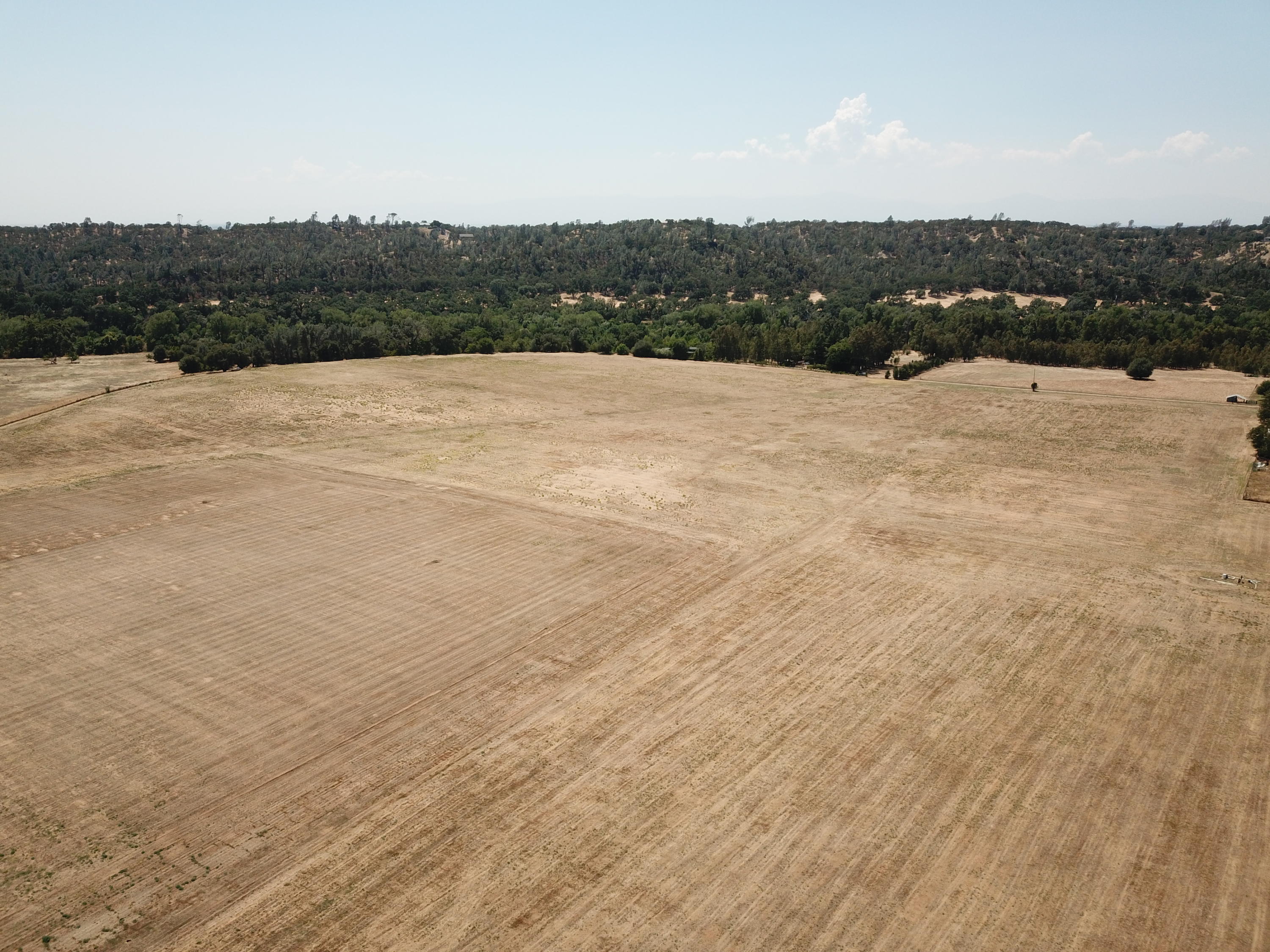 21959 South Wallen Road Red Bluff, CA 96080 - Photo 5 of 27 DJI_0006