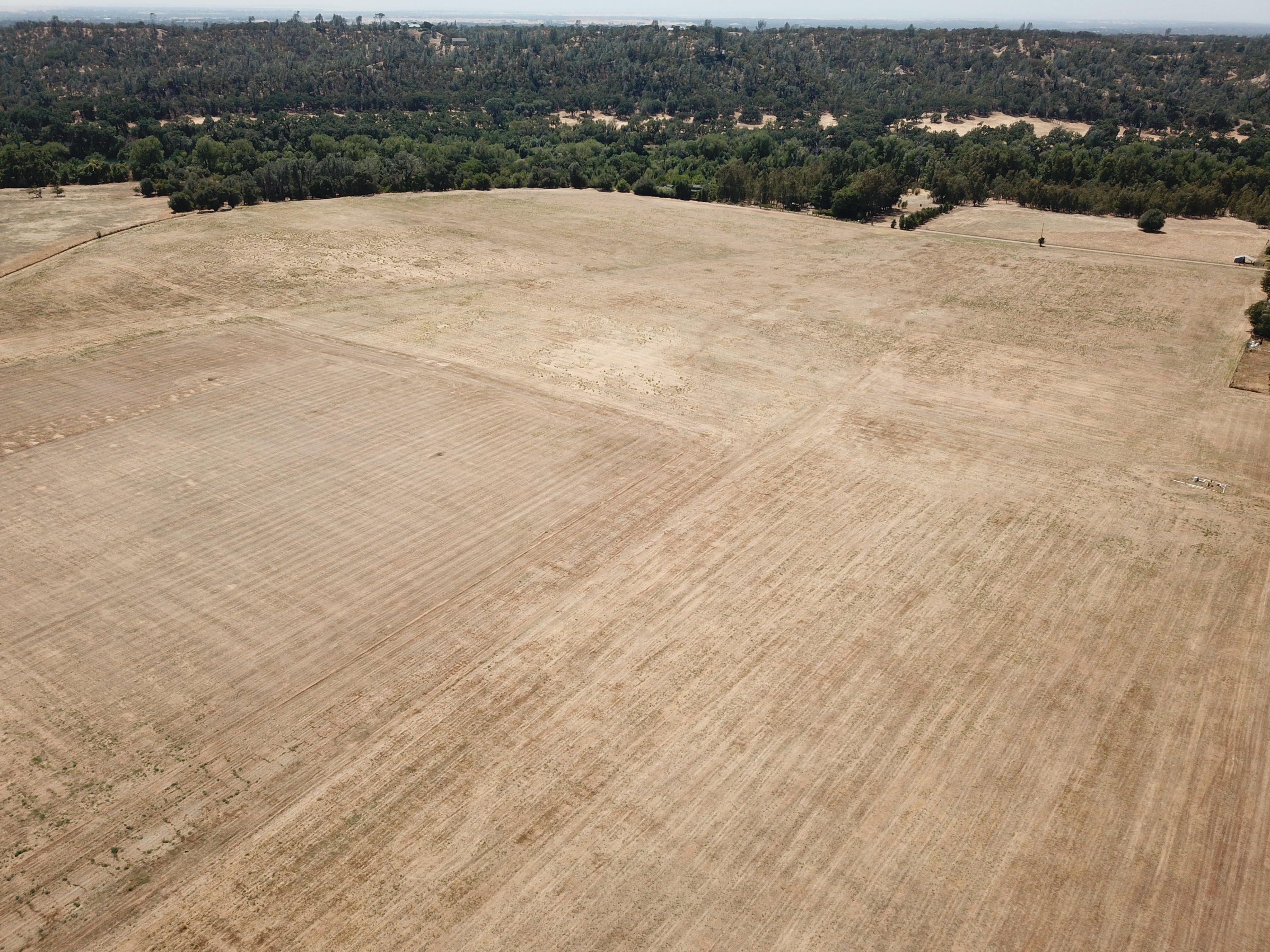 21959 South Wallen Road Red Bluff, CA 96080 - Photo 6 of 27 DJI_0007