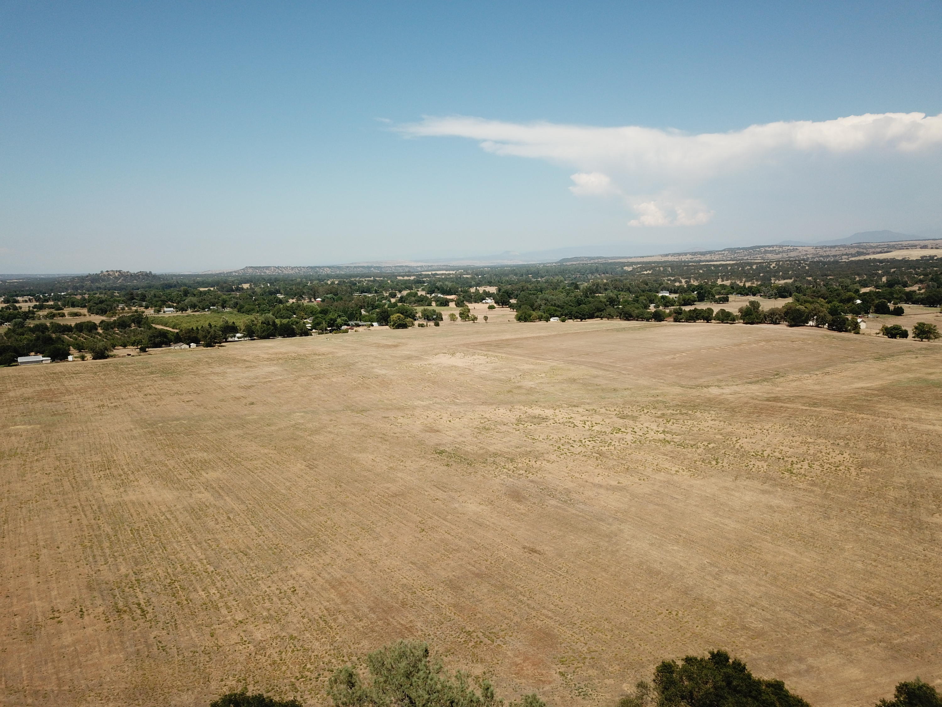 21959 South Wallen Road Red Bluff, CA 96080 - Photo 9 of 27 DJI_0015