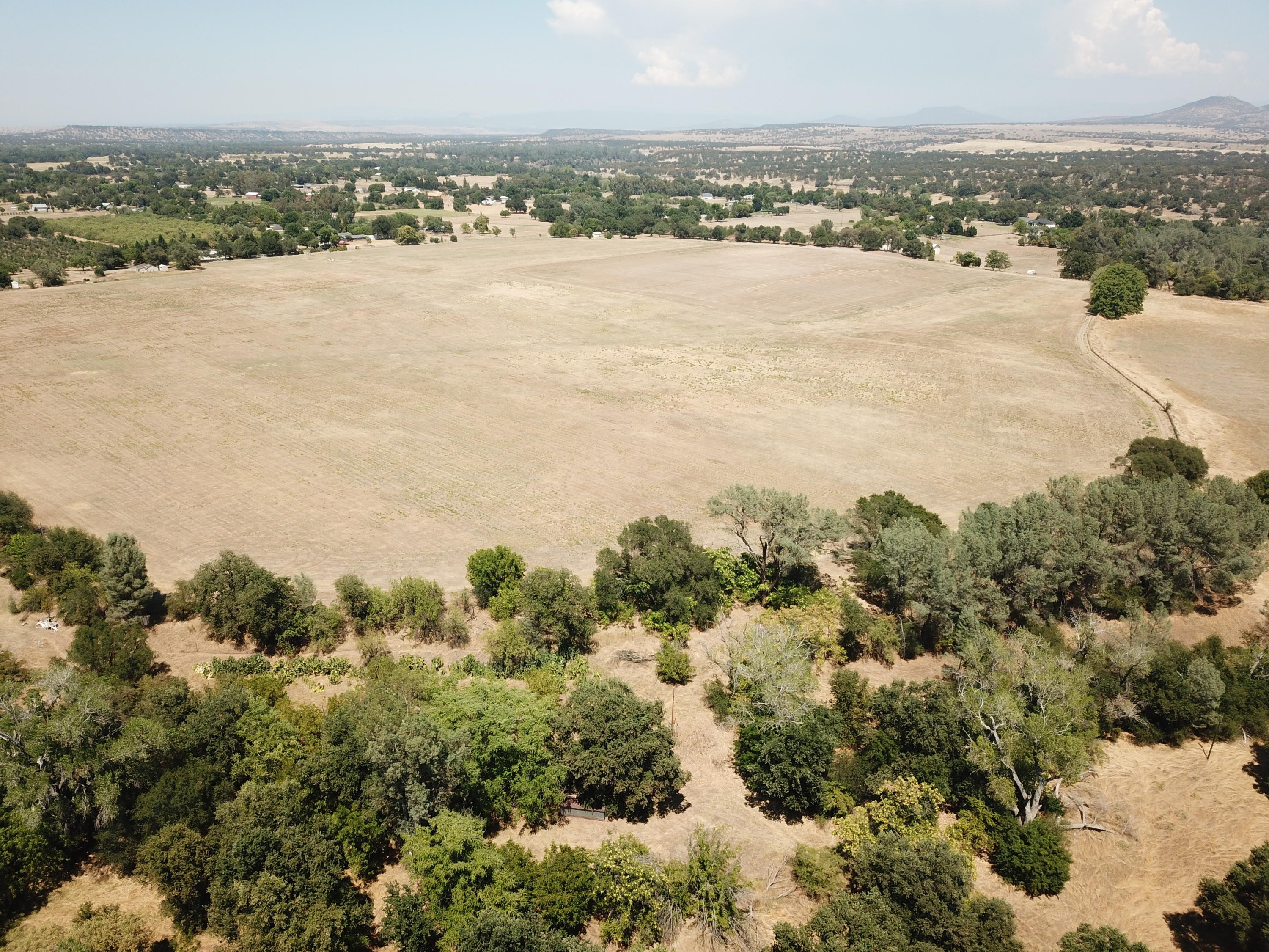 21959 South Wallen Road Red Bluff, CA 96080 - Photo 10 of 27 DJI_0016