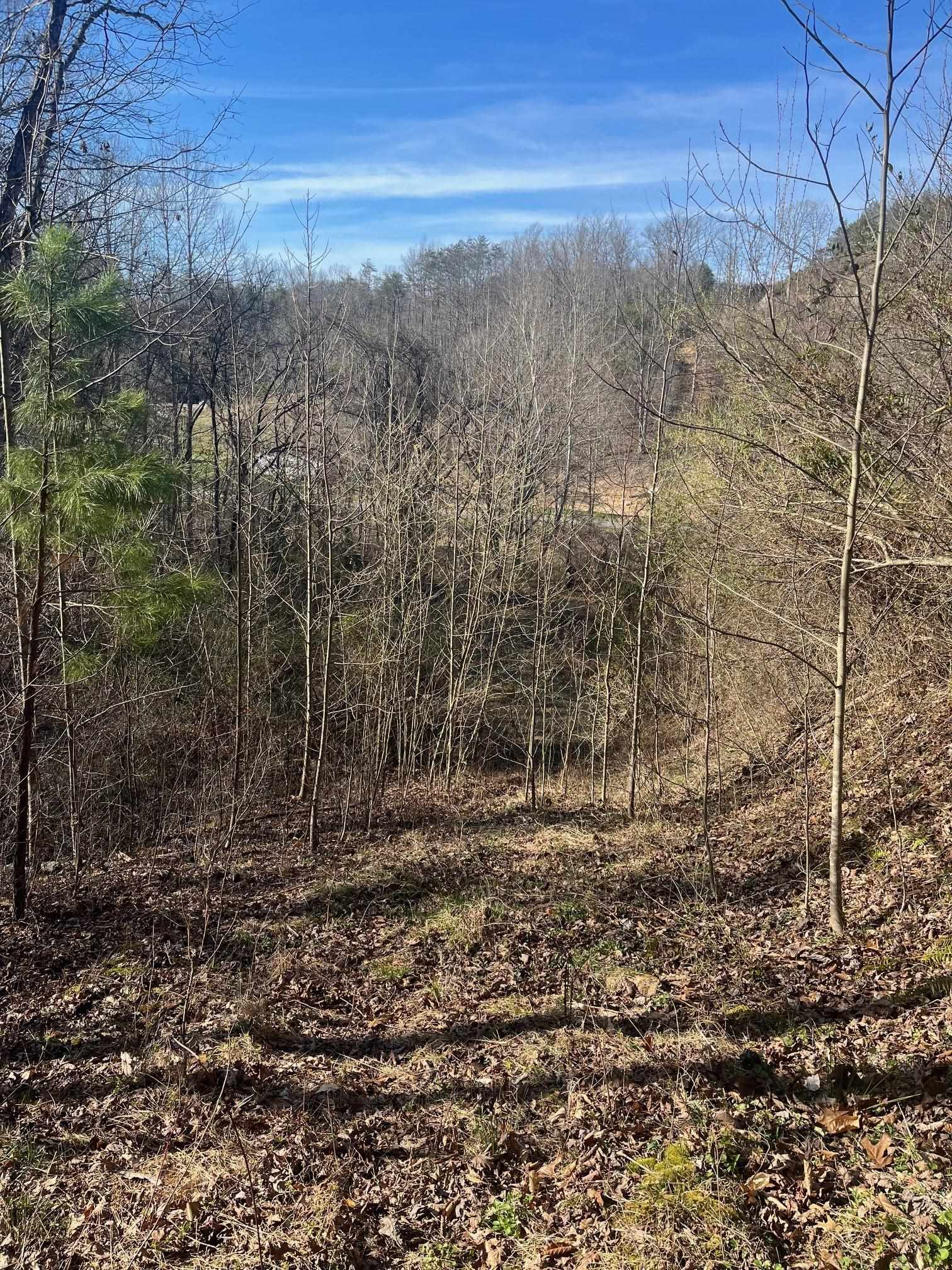 Turkey Lick Road Argillite, KY 41121 - Photo 8 of 16 Gallery Image 8