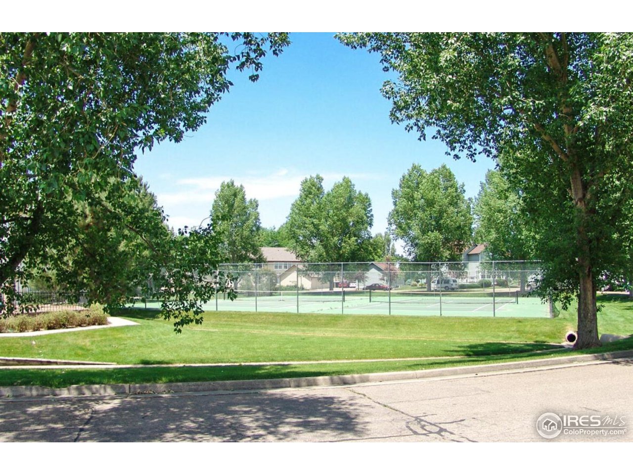 1601 West Swallow Road, Unit J Fort Collins, CO 80526 - Photo 20 of 21 Community Tennis Court
