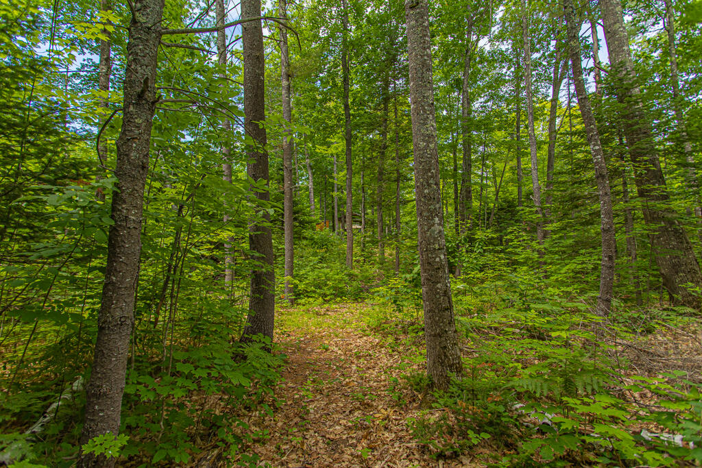 Tbd Town Farm Road Anson, ME 04911 - Photo 15 of 20 photo (4 of 20)
