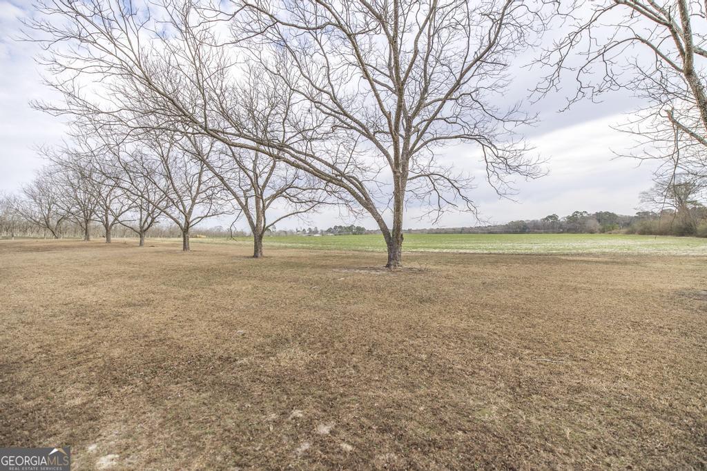 1920 Harvey Road Abbeville, GA 31001 - Photo 36 of 39