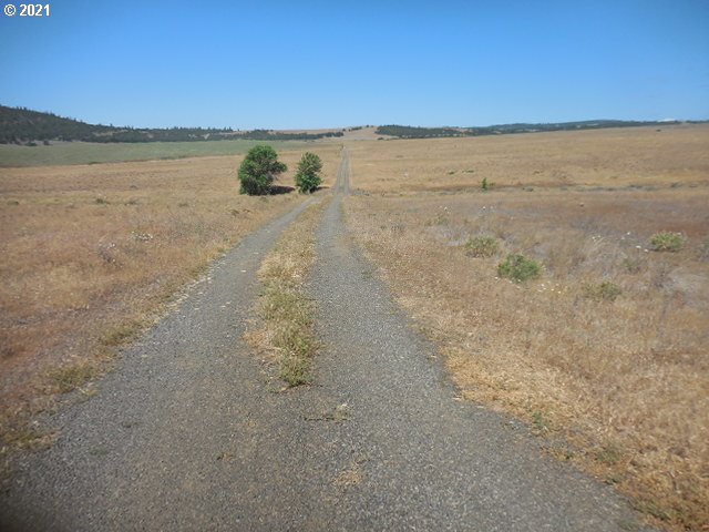 45 Dighton Road Goldendale, WA 98620 - Photo 1 of 31 Gallery Image 1