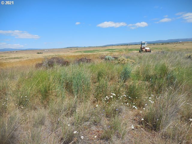 45 Dighton Road Goldendale, WA 98620 - Photo 16 of 31 Gallery Image 16