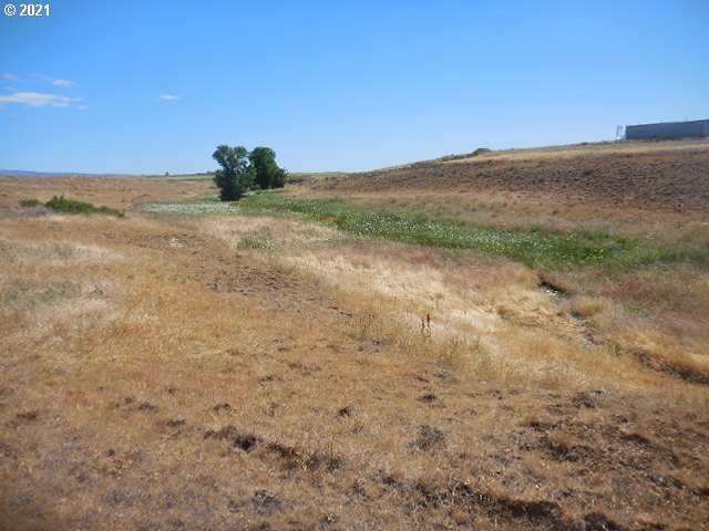 45 Dighton Road Goldendale, WA 98620 - Photo 3 of 31 Gallery Image 3