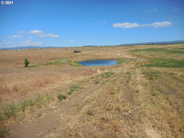 45 Dighton Road Goldendale, WA 98620 - Photo 21 of 31 Gallery Image 21