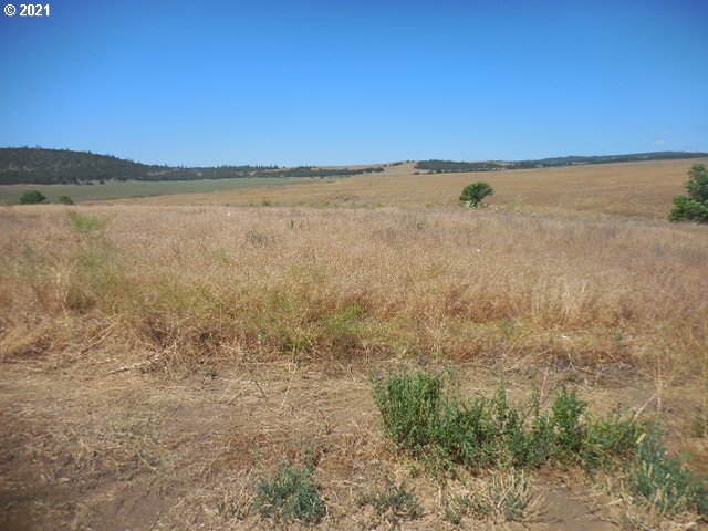 45 Dighton Road Goldendale, WA 98620 - Photo 22 of 31 Gallery Image 22