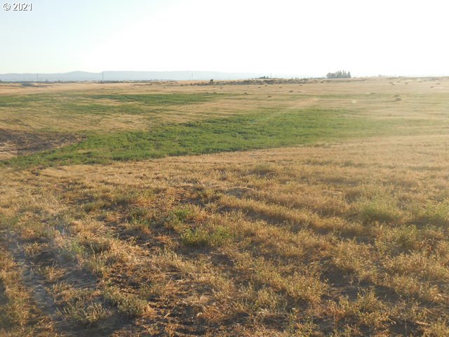 45 Dighton Road Goldendale, WA 98620 - Photo 29 of 31 Gallery Image 29