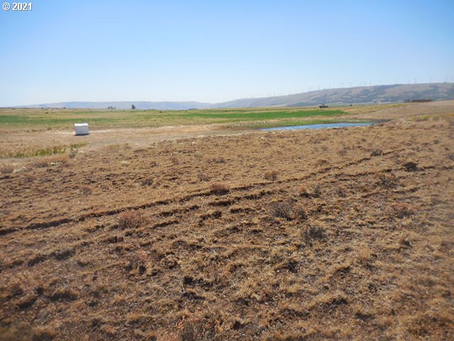 45 Dighton Road Goldendale, WA 98620 - Photo 5 of 31 Gallery Image 5