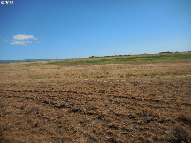 45 Dighton Road Goldendale, WA 98620 - Photo 7 of 31 Gallery Image 7