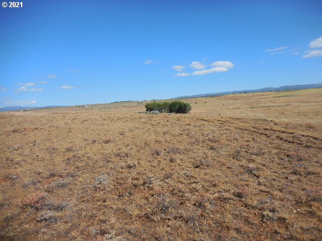 45 Dighton Road Goldendale, WA 98620 - Photo 8 of 31 Gallery Image 8