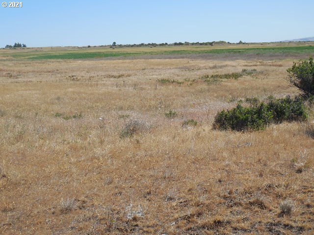 45 Dighton Road Goldendale, WA 98620 - Photo 9 of 31 Gallery Image 9