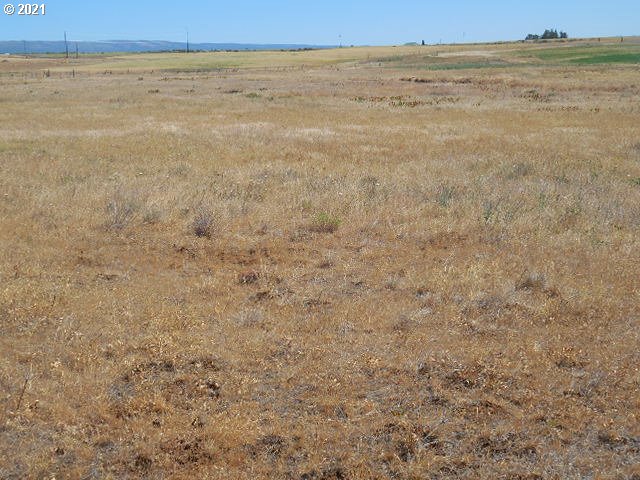45 Dighton Road Goldendale, WA 98620 - Photo 10 of 31 Gallery Image 10