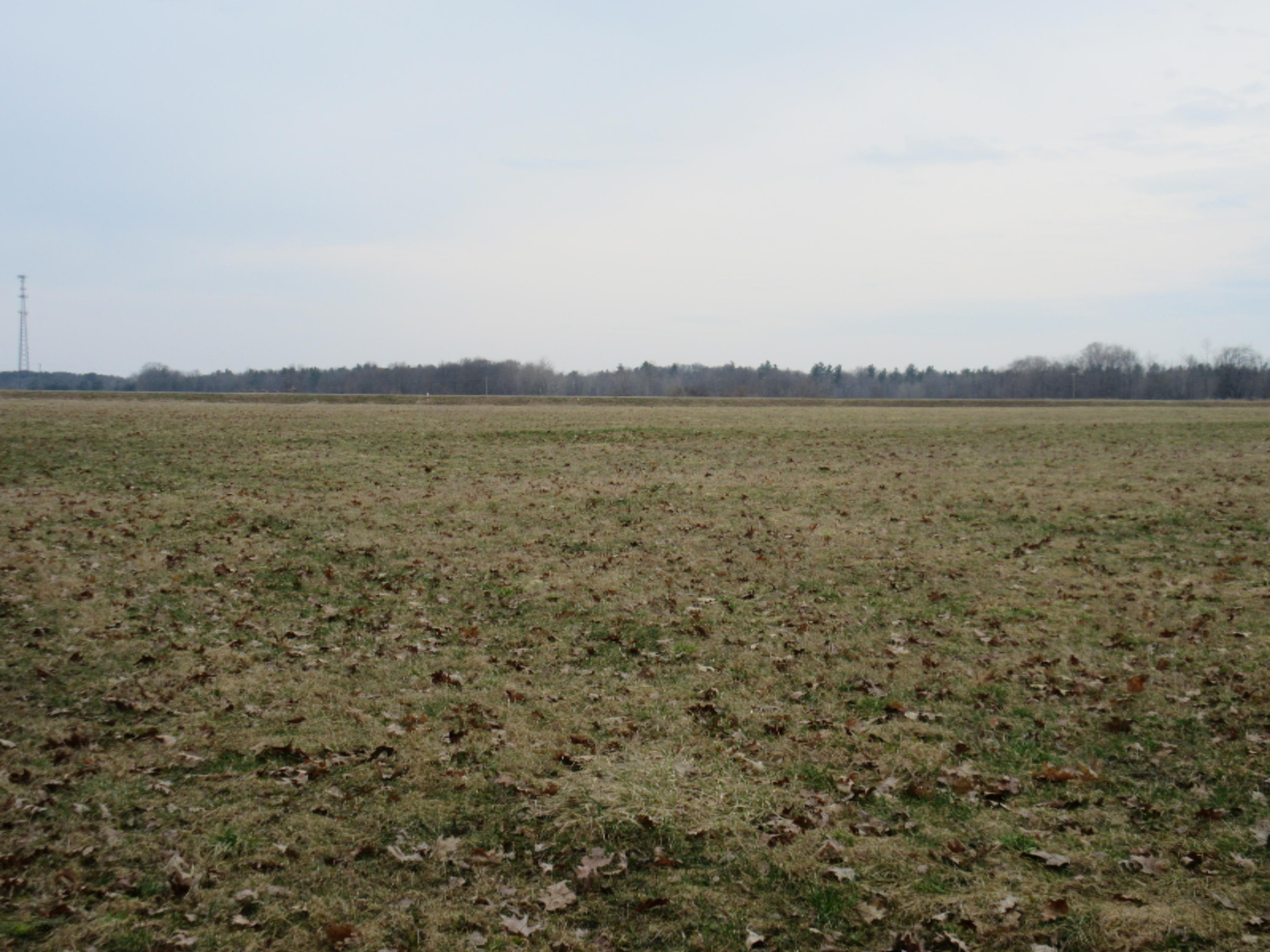0 West Tamarack Road Howard City, MI 49329 - Photo 15 of 18 IMG_1188
