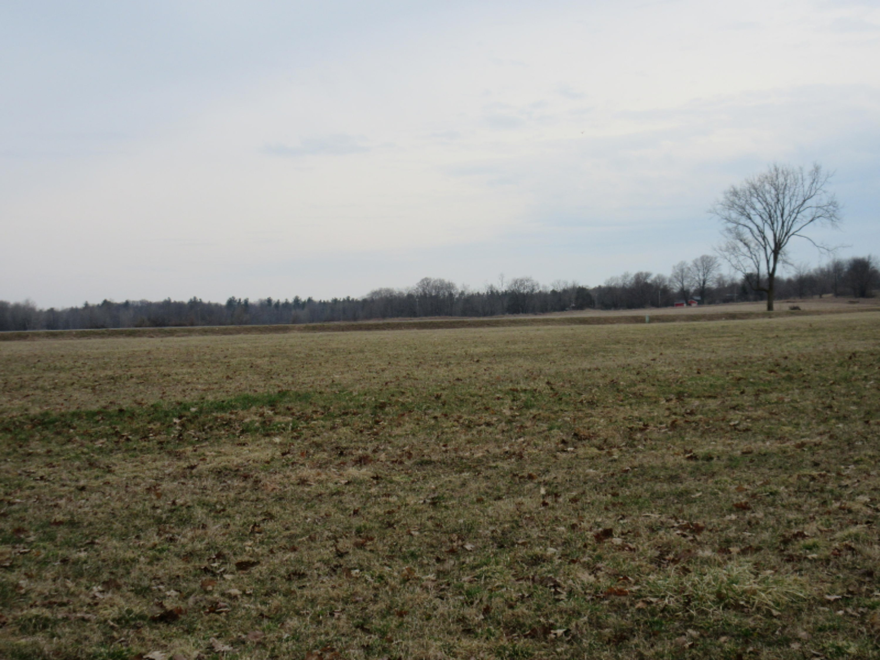 0 West Tamarack Road Howard City, MI 49329 - Photo 16 of 18 IMG_1189