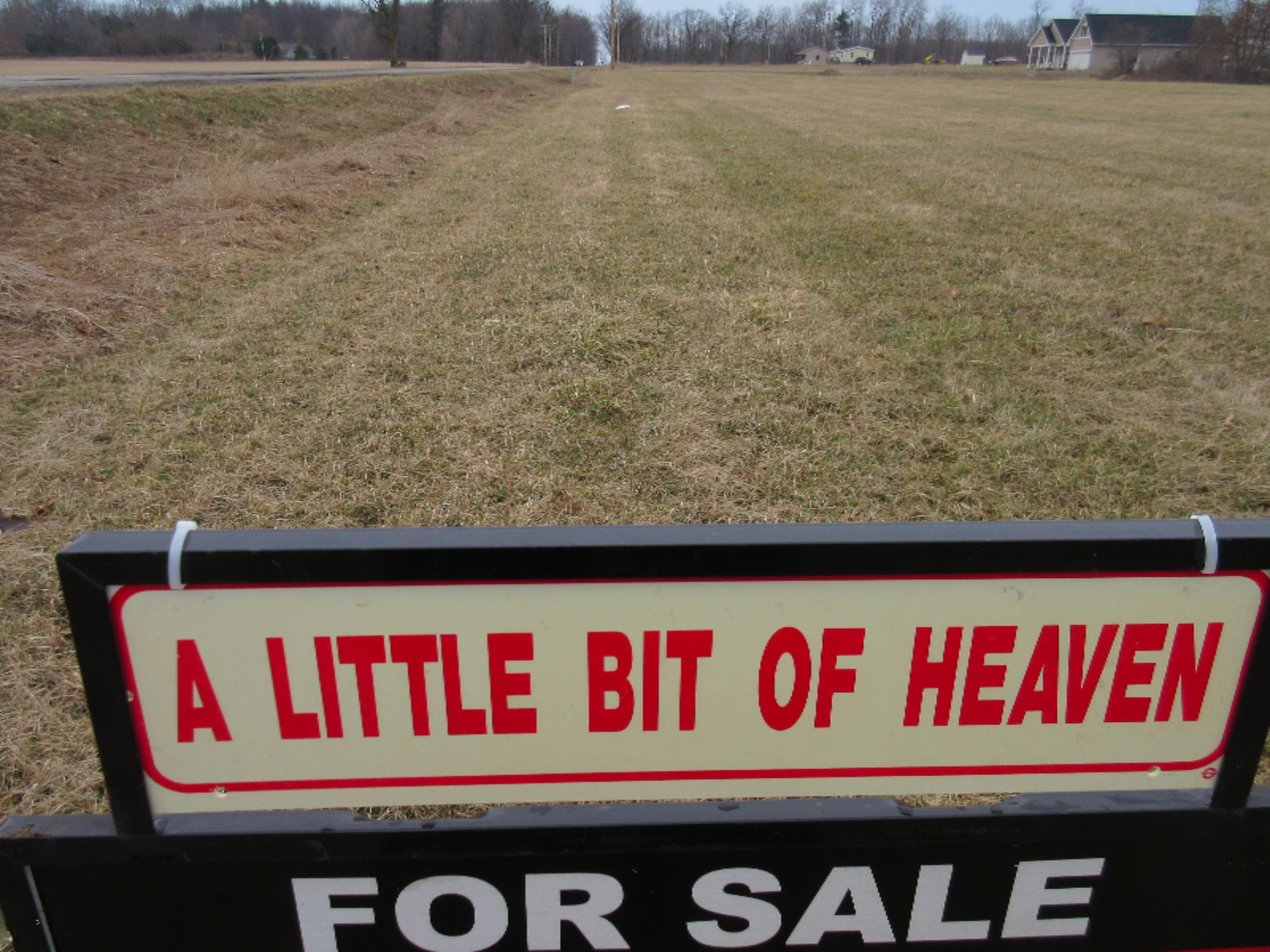 0 West Tamarack Road Howard City, MI 49329 - Photo 18 of 18 IMG_1191