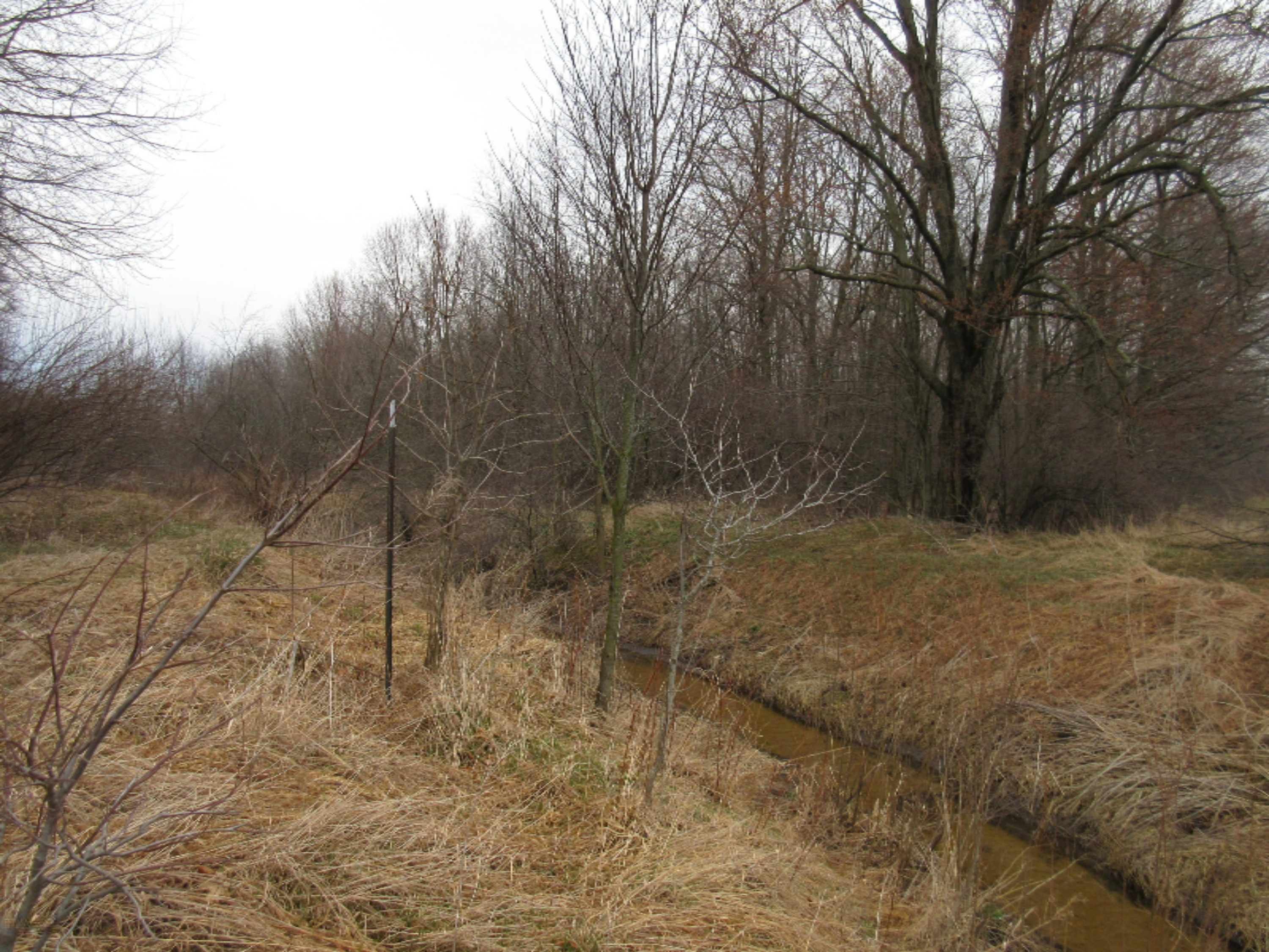 0 West Tamarack Road Howard City, MI 49329 - Photo 5 of 18 IMG_1175